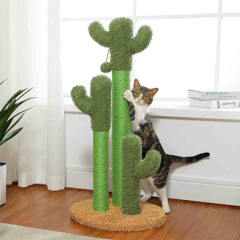 A tabby and white cat scratches at a tall, green cat scratching post shaped like a saguaro cactus, near a window.