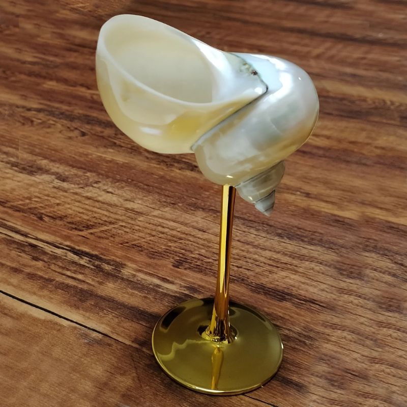 A seashell wine glass with a gold stem and base, resting on a wooden surface.