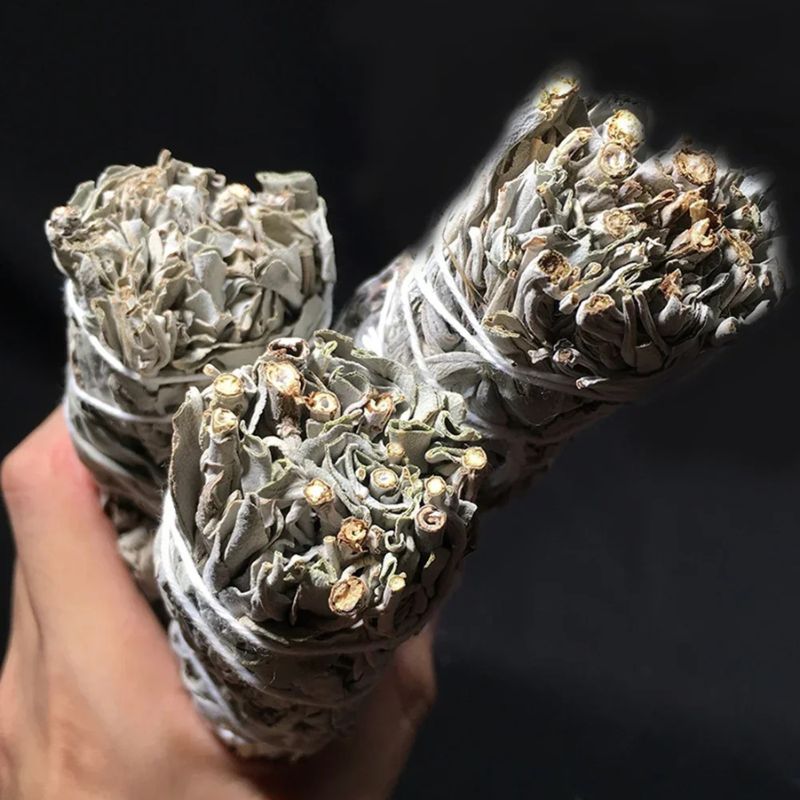 A close-up shot of three bundles of dried white sage held in a person's hand. The sage bundles are tightly bound with white string and show the characteristic pale gray-green leaves and rough texture of dried sage. The ends of the bundles reveal cut stems, some with a slightly golden hue. The hand holding the sage is partially visible, with a blurred dark background that provides contrast and highlights the sage bundles.