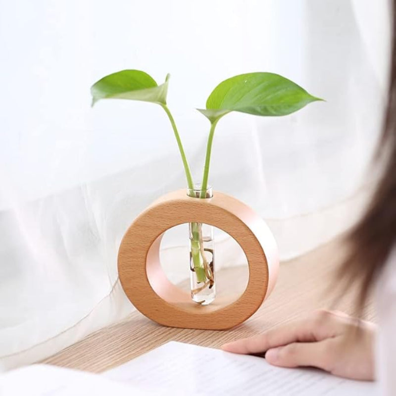 A light wooden circular vase holds a clear glass test tube with two vibrant green leaves. The vase sits on a light-colored wooden surface, and a hand is partially visible in the lower right corner.