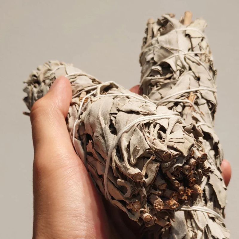 A close-up shot of two bundles of dried white sage held in a person's hand. The sage bundles are tightly bound with white string and show the characteristic pale gray-green leaves and rough texture of dried sage. The ends of the bundles reveal cut stems, some with a slightly golden hue. The hand holding the sage is a light-skinned hand, and the background is a plain, light-colored surface.
