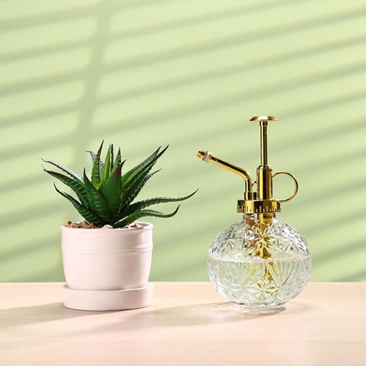 A small succulent plant in a white pot sits next to a glass plant mister with a gold pump on a light-colored surface against a light green background.