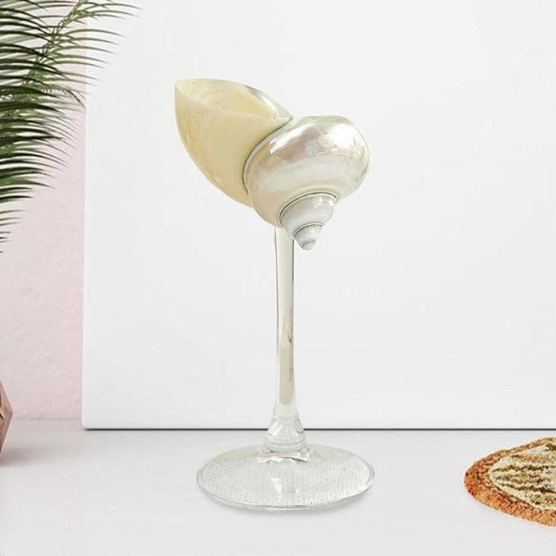 A Sharplace Conch Shell Wine Glass Cup Martini Glass with a clear stem and pearlescent seashell cup, displayed on a light surface with a blurred object in the foreground and a plant in the background.