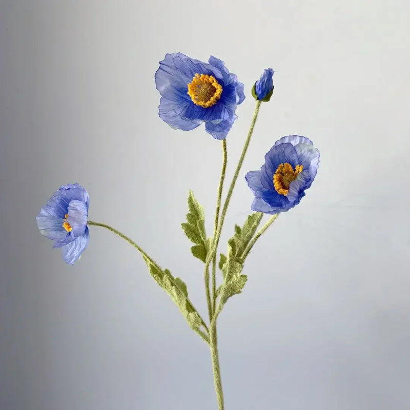 A small branch of three blue poppies and a bud.
