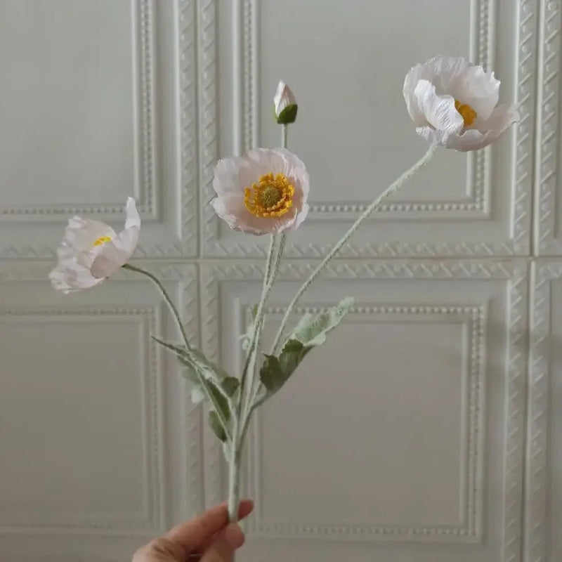 A hand holds a branch with three white poppies and a bud.