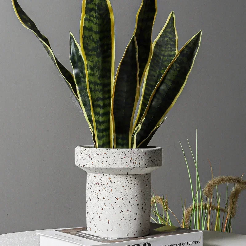 A snake plant with tall, variegated green and yellow leaves is potted in a small, cylindrical white cement flower pot with black speckles. The pot sits on a book against a light grey background. Dried grasses are subtly visible to the right.