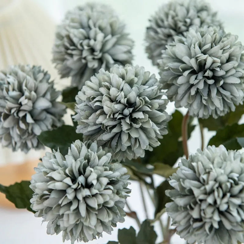 Close-up of gray-green chrysanthemum flowers.