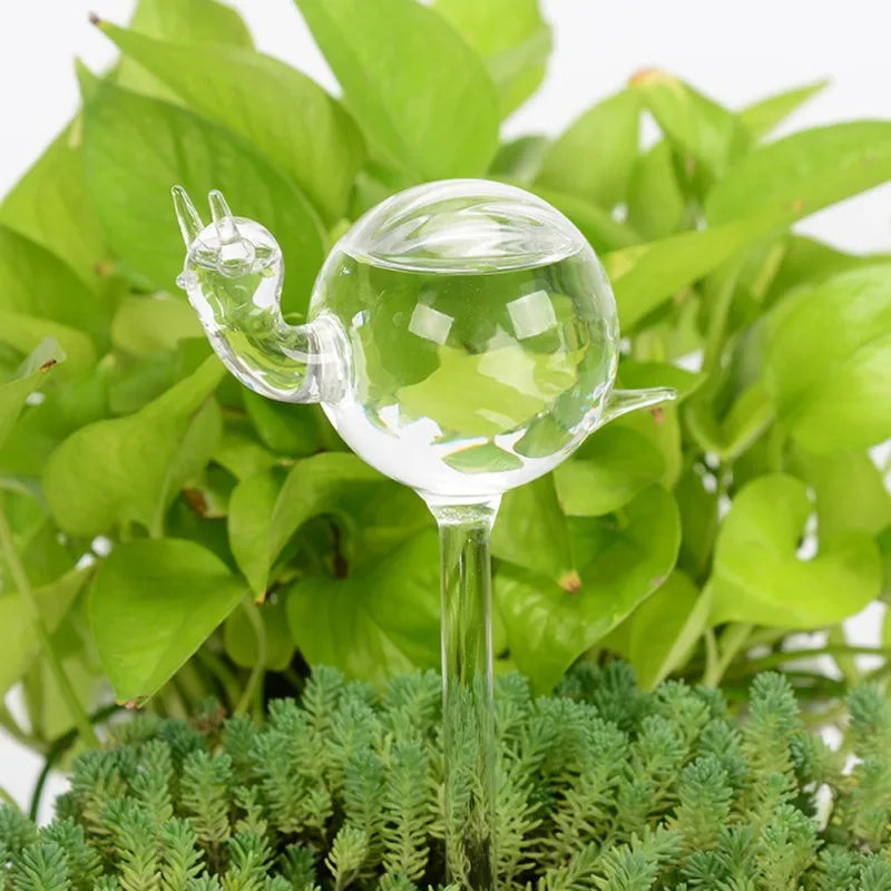 A clear glass, snail-shaped, self-watering device is inserted into a plant with dense, small green leaves in the foreground and larger green leaves in the background.
