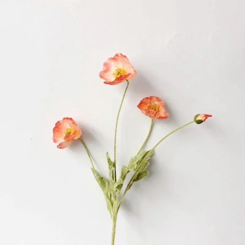 Three light orange poppy flowers with green stems and one poppy bud are arranged in a sparse bouquet against a plain white background.