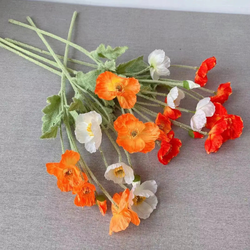 A collection of white, orange, and red poppies lies on a gray surface.