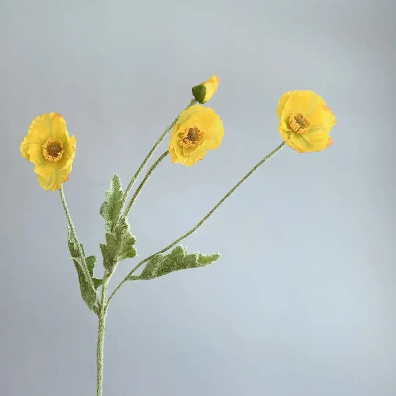 Three yellow poppy flowers with green stems and one poppy bud are arranged in a sparse bouquet against a plain light grey background.