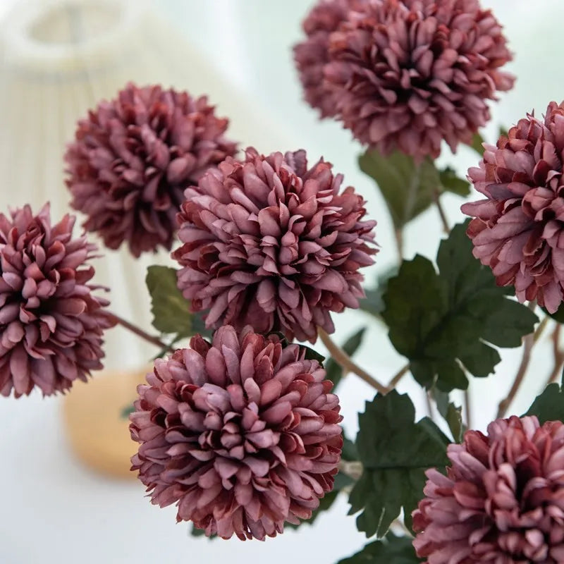 Close-up of dark pink chrysanthemum flowers.