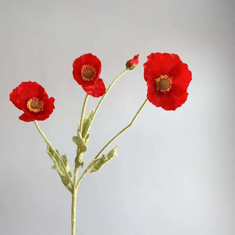 Three bright red poppy flowers with green stems and one poppy bud are arranged in a sparse bouquet against a plain light grey background.