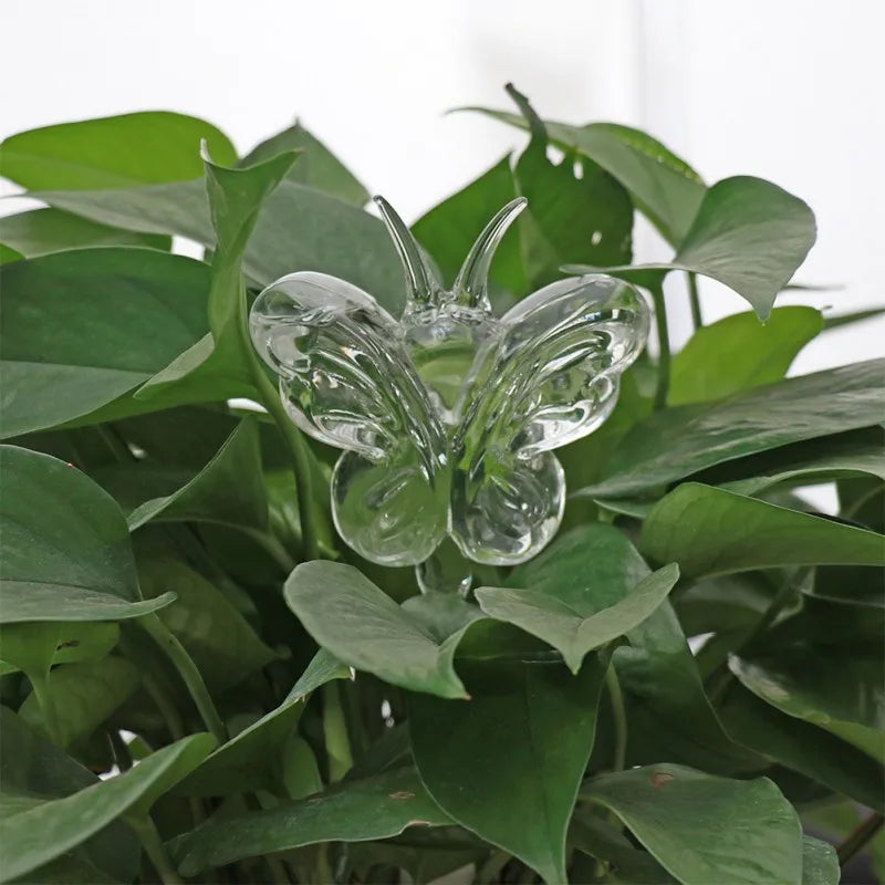 A clear glass butterfly-shaped self-watering device is inserted into a plant with broad, green leaves.