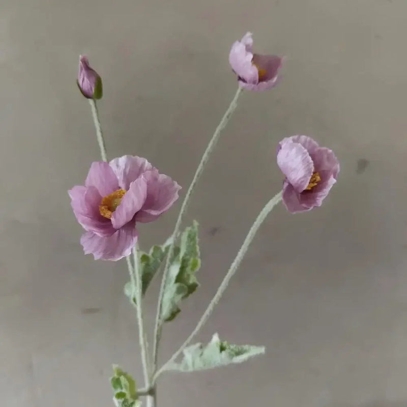 Three purple poppy flowers with green stems and one poppy bud are arranged in a sparse bouquet against a plain beige background.