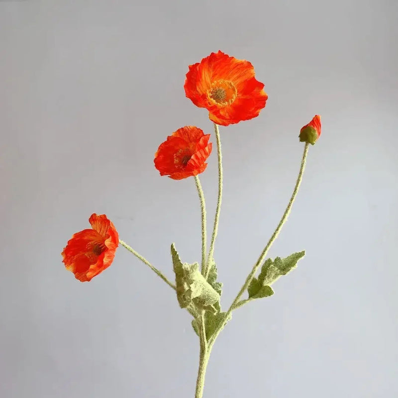 Three bright orange poppy flowers with green stems and one poppy bud are arranged in a sparse bouquet against a plain light grey background.