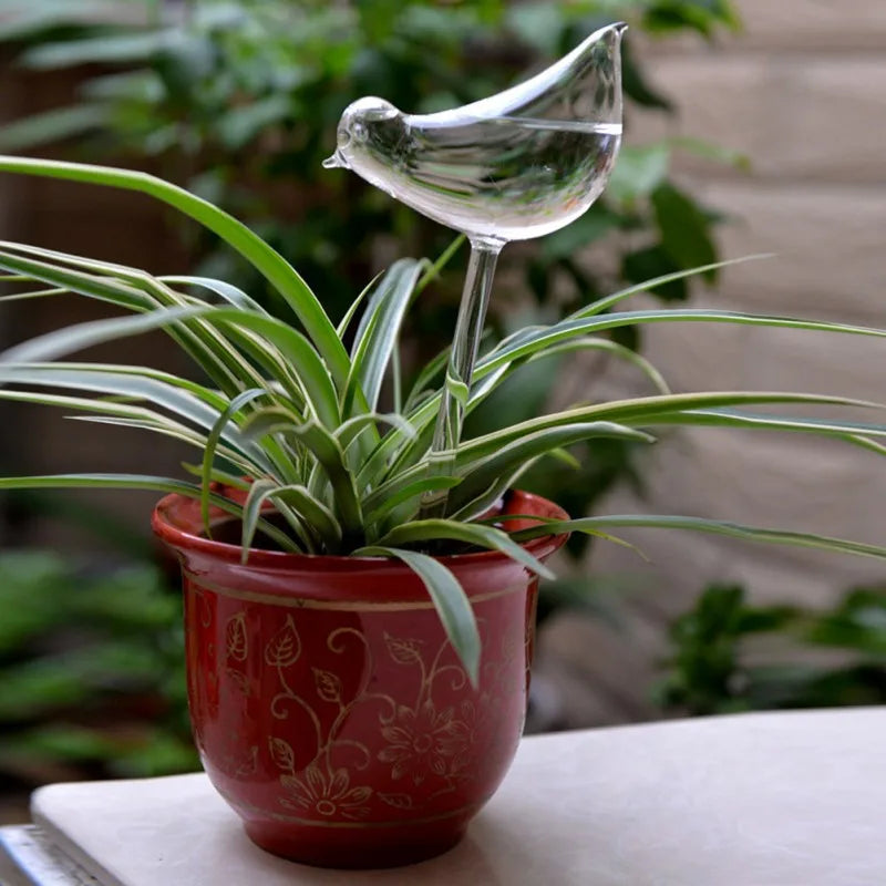 A clear glass bird-shaped automatic watering ball is inserted into a plant with long, striped leaves in a red pot.