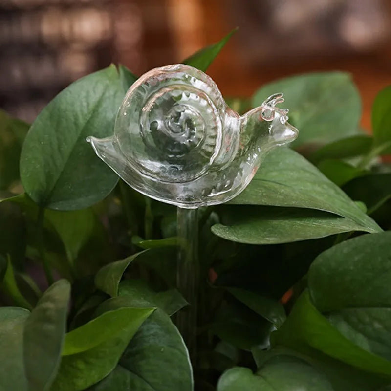 A clear glass snail-shaped self-watering device is inserted into a plant with large green leaves.