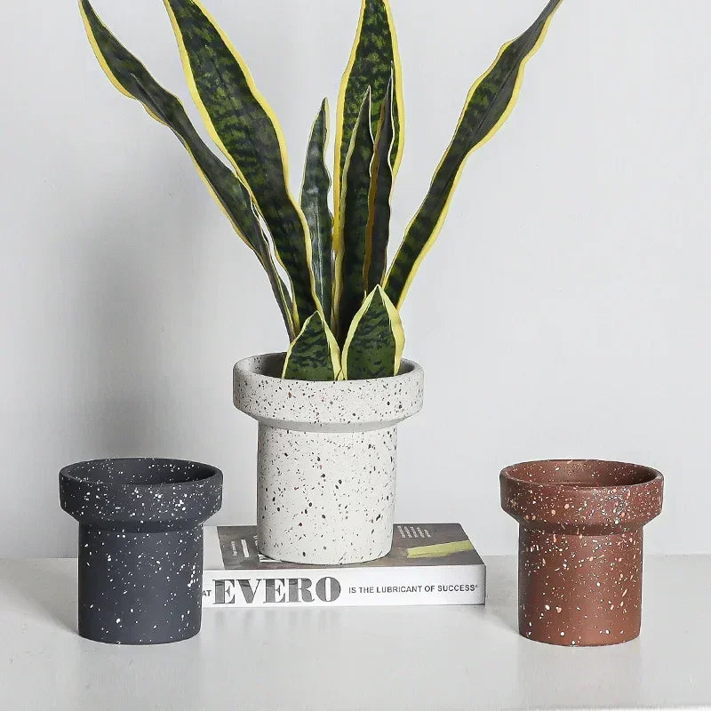 A snake plant with tall, variegated green and yellow leaves is potted in a small, cylindrical white cement flower pot with black speckles. The pot sits on a book. To the left is a similar black pot with white speckles, and to the right is a brown pot with beige speckles. They are arranged on a white surface against a light grey background.