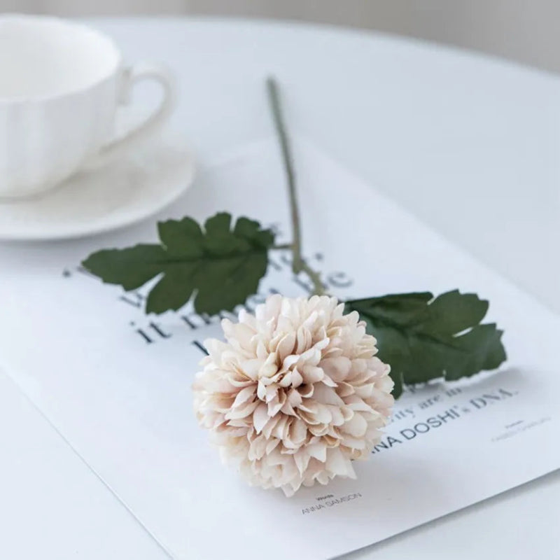 A single beige chrysanthemum flower on a white table with a cup.