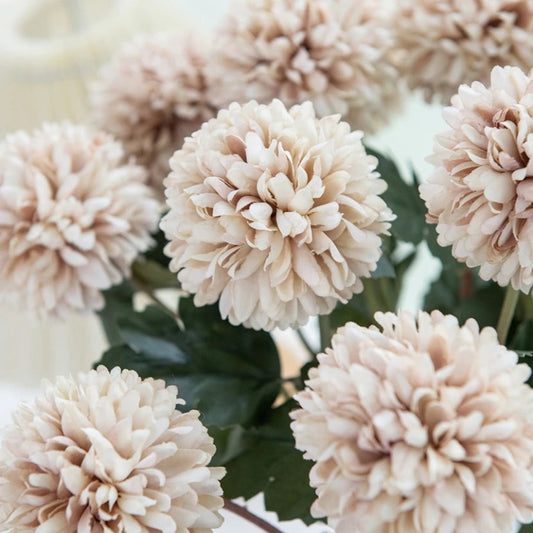 Bouquet of light pink chrysanthemum flowers.