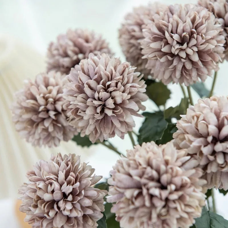 Close-up of light maroon chrysanthemum flowers.
