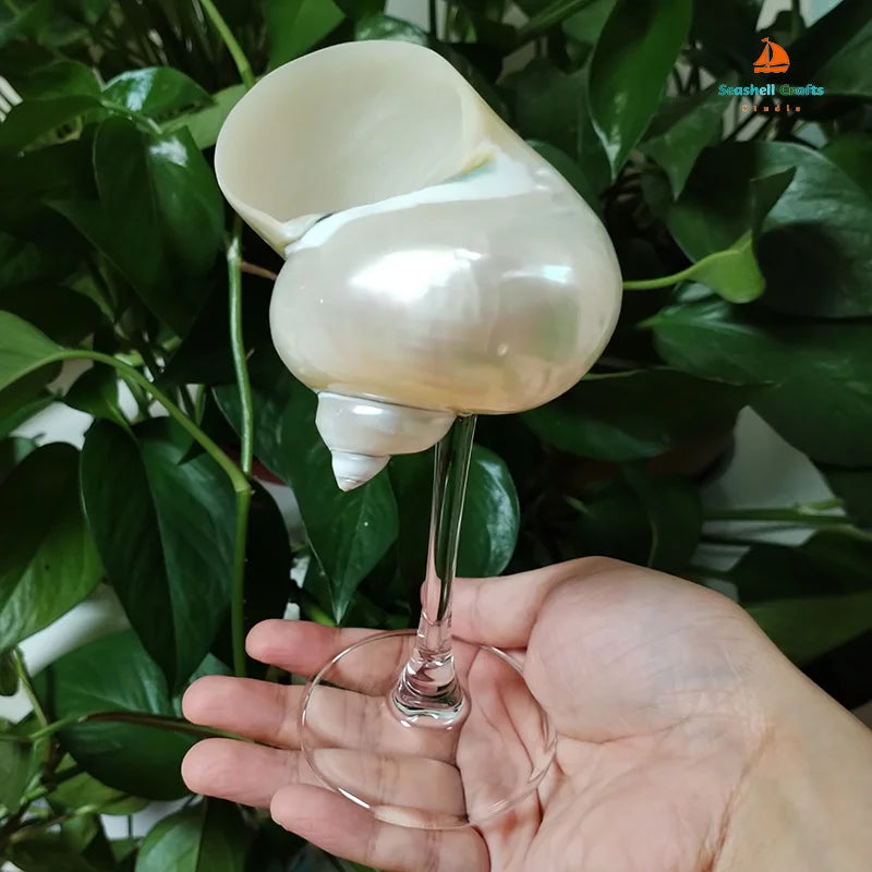 A hand holds a seashell wine glass with a clear stem and pearlescent seashell cup, against a backdrop of green leafy plants.