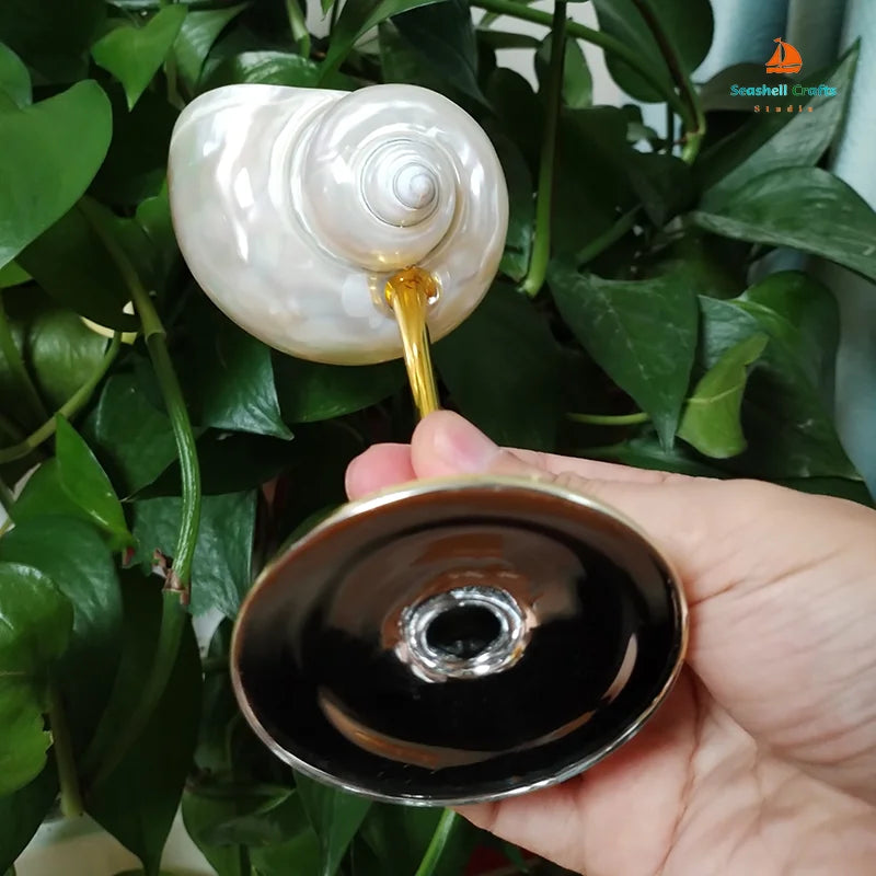 A close-up shot of a hand holding a seashell wine glass, showing the gold stem and the underside of the black base, with green plants in the background.