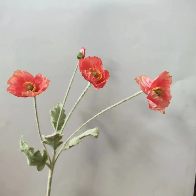 Three reddish-orange poppy flowers with green stems and one poppy bud are arranged in a sparse bouquet against a plain light grey background.