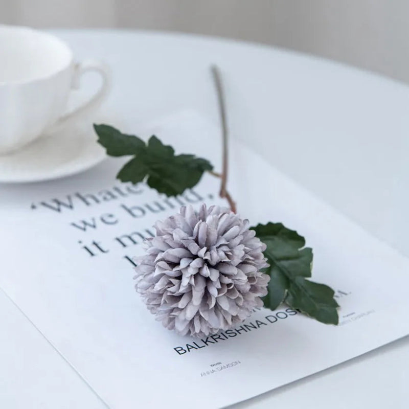 A single gray-purple chrysanthemum flower on a white table with a cup.