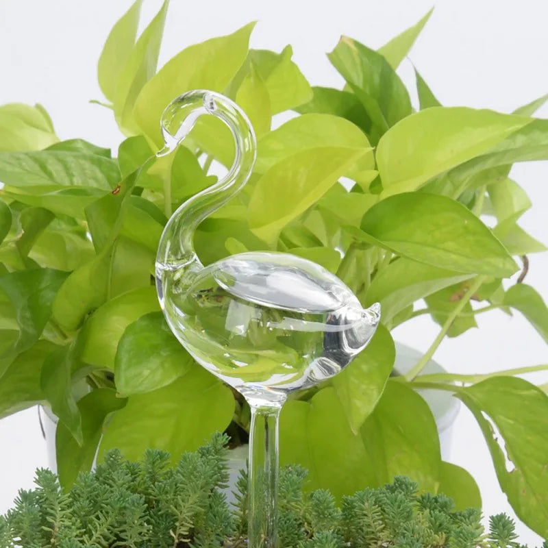 A clear glass swan-shaped self-watering device is inserted into the soil of a plant with large, green leaves.