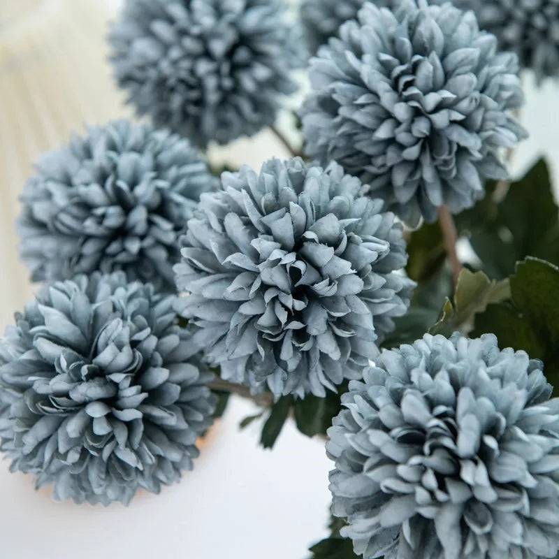 Close-up of light blue chrysanthemum flowers.