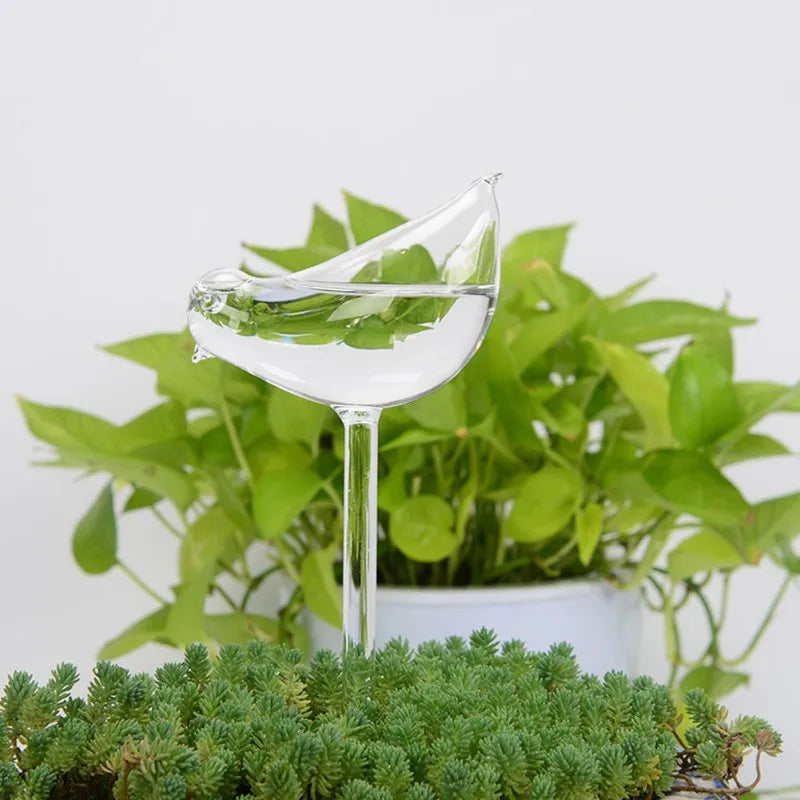 A clear, hand-blown glass self-watering globe in the shape of a bird is inserted into the soil of a potted plant featuring two types of foliage: a dense mat of small, succulent-like green leaves in the foreground and larger, brighter green leaves behind it.