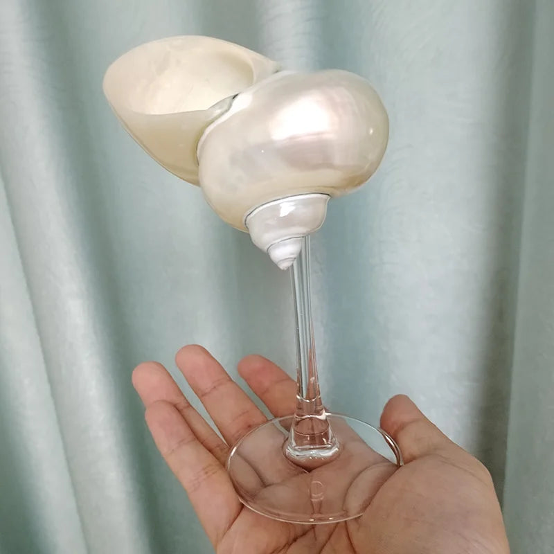 A hand gently holds a seashell wine glass with a clear stem and pearlescent seashell cup.