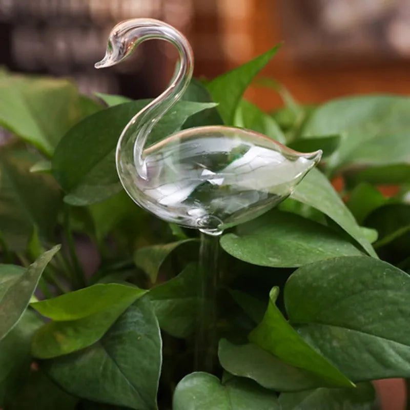 A clear glass swan-shaped self-watering device is inserted into the soil of a plant with large, green leaves.