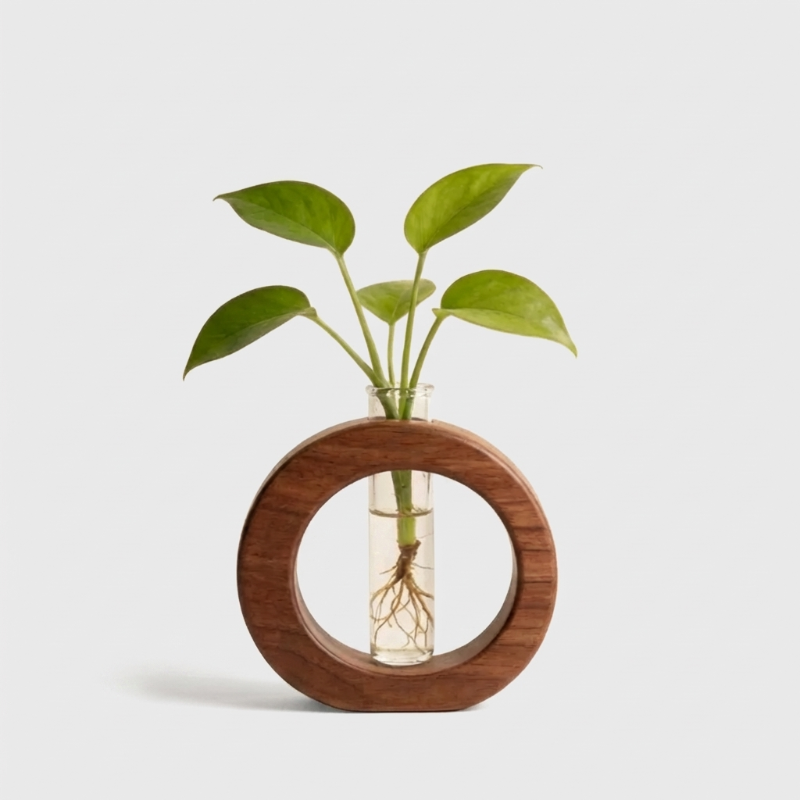Alba wooden plant propagation vase with green stem on white background