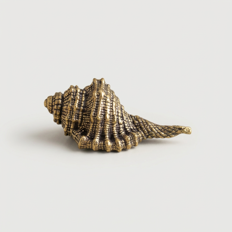 Brass seashell figurine on white background