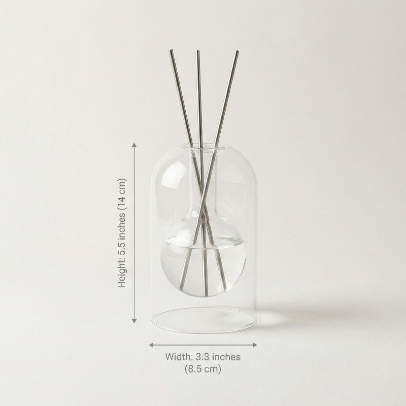 Clear glass diffuser with reeds on a light gray background