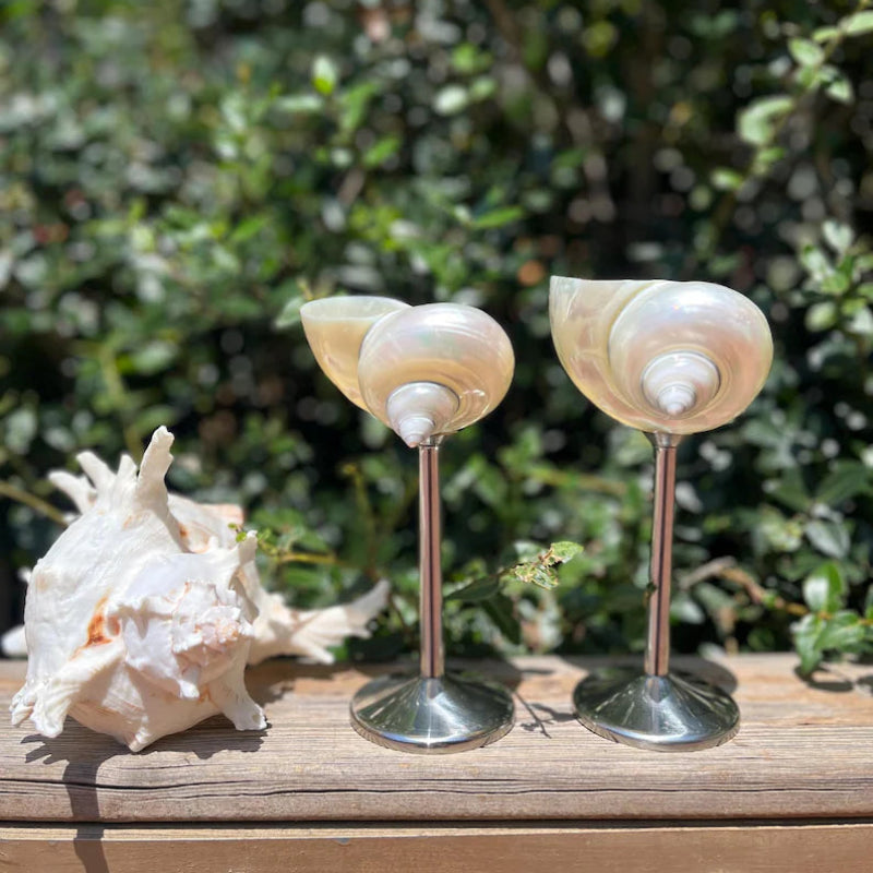 Two seashell wine glasses with silver stems and pearlescent seashell cups, placed on a wooden surface next to a large, white conch shell, with green foliage in the background.