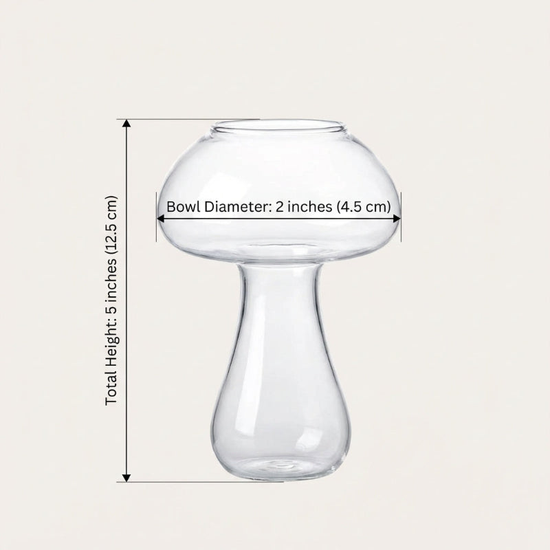Clear mushroom shaped glass vase with measurements on a white background