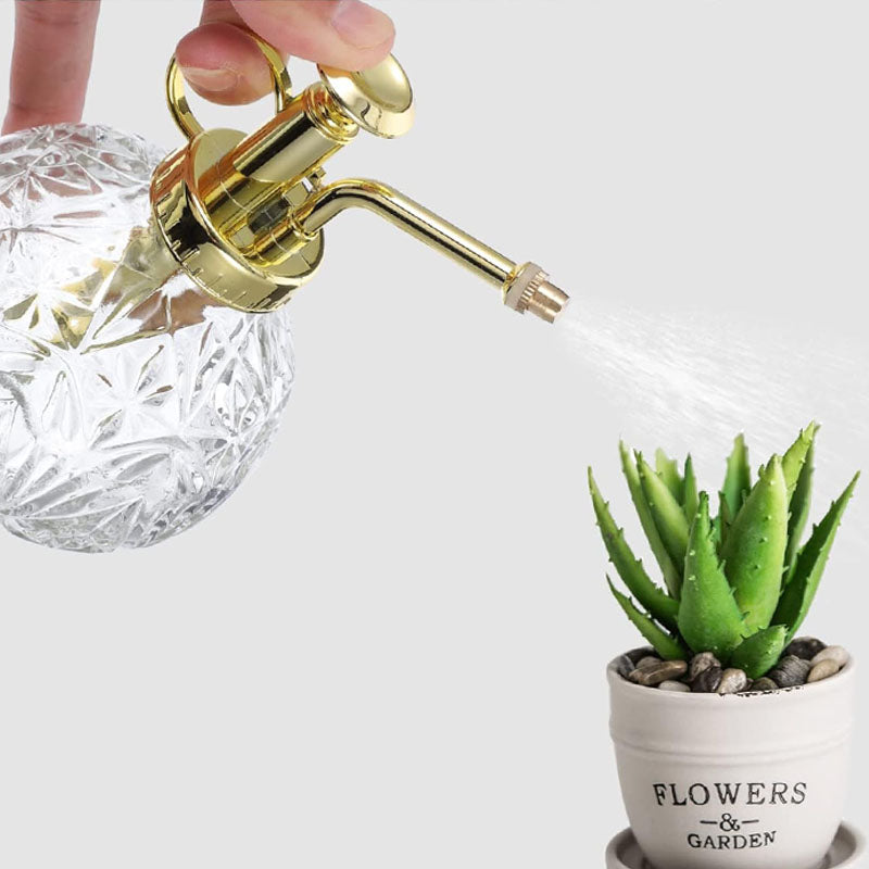 mister for succulents Glass Plant Mister – Stylish Hydration for Houseplants