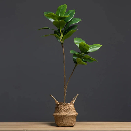 A full view of the artificial magnolia tree showcasing its lifelike green leaves and delicate white blooms. Adding a natural touch to any room, perfect for living rooms, offices, or entryways.