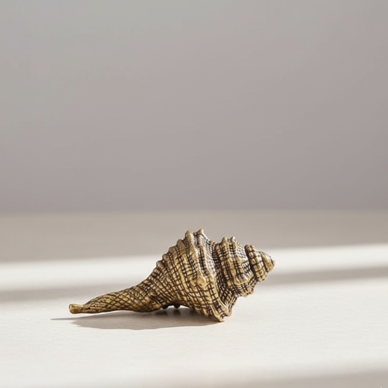 Brass Seashell sculpture with smooth polished finish on light grey background – handcrafted coastal home decor by Kiyo Home