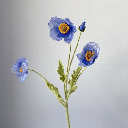 A small branch of three blue poppies and a bud.