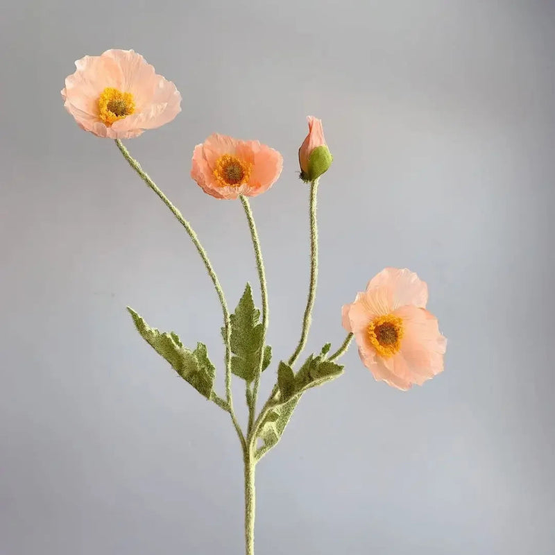 Three pale orange poppy flowers with green stems and one poppy bud are arranged in a sparse bouquet against a plain light grey background.