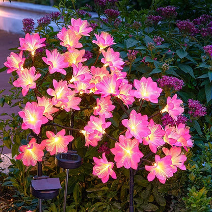 Solar Garden Flowers