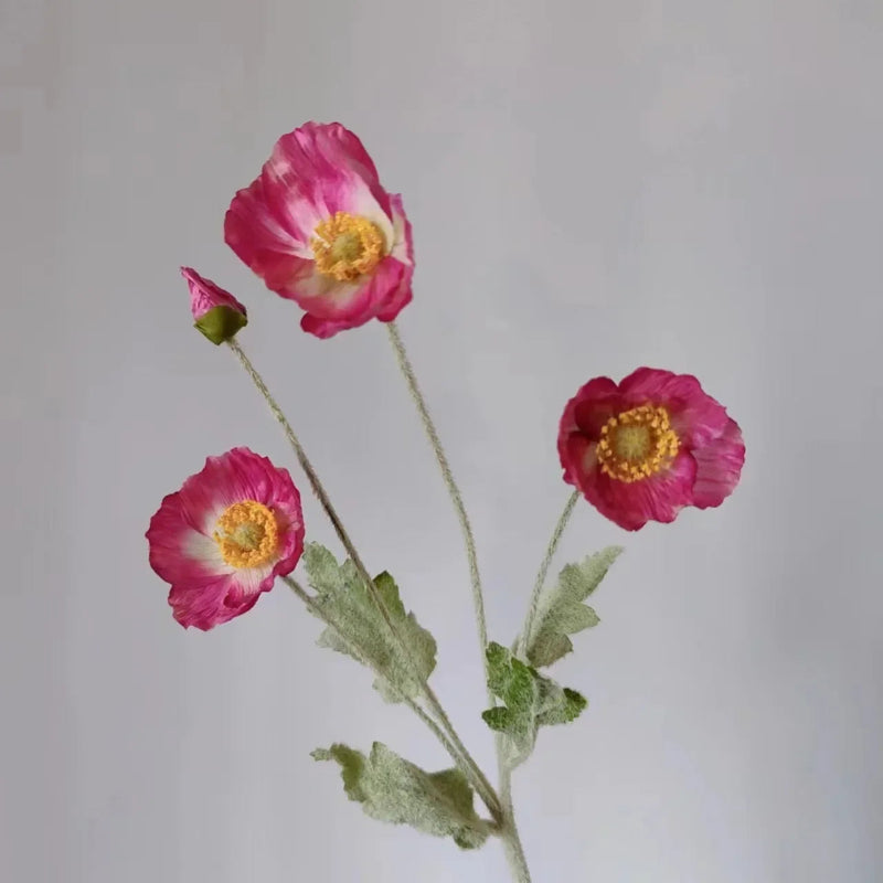 Three fuchsia and white poppy flowers with green stems and one poppy bud are arranged in a sparse bouquet against a plain light grey background.