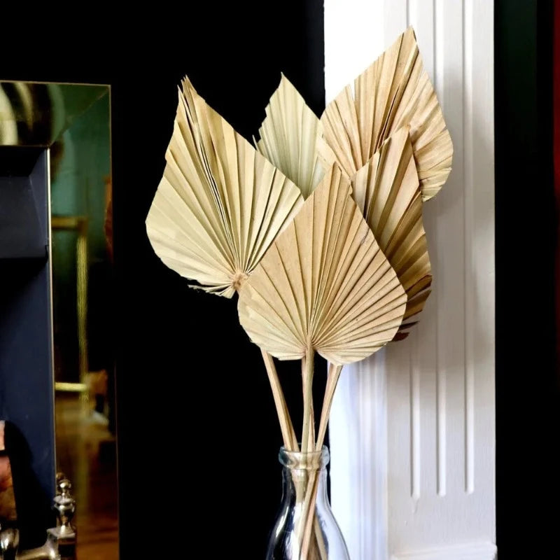 Palm fan leaf 2-piece set arranged together, ideal for gifting or elevating any home decor style.