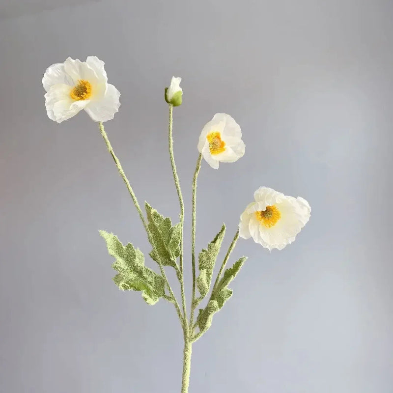 Three white poppy flowers with yellow centers, green stems, and one poppy bud are arranged in a sparse bouquet against a plain light grey background.