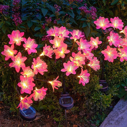 Solar Garden Flowers